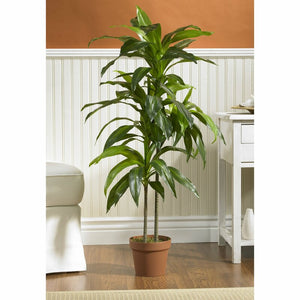 42" Dracaena Plant in Planter 6106RR