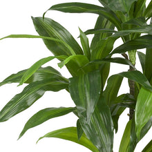 Load image into Gallery viewer, 42&quot; Dracaena Plant in Planter 6106RR
