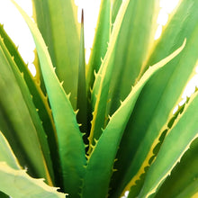 Load image into Gallery viewer, 43&quot; Indoor/Outdoor Agave Plant
