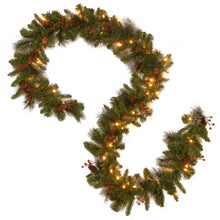 Load image into Gallery viewer, National Tree Company Crestwood Spruce 9-Foot Pre-Lit Garland with Clear Lights
