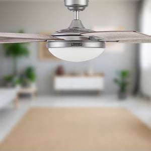 48'' Carmel 5 - Blade Standard Ceiling Fan with Remote Control and Light Kit Included MRM4067