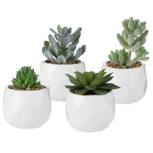 Load image into Gallery viewer, 4 - Piece Artificial Succulent Plant in Pot SP109
