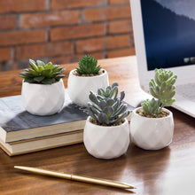Load image into Gallery viewer, 4 - Piece Artificial Succulent Plant in Pot SP109
