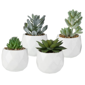 4 - Piece Artificial Succulent Plant in Pot SP109