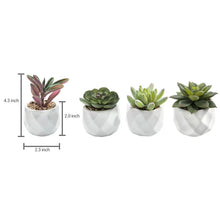 Load image into Gallery viewer, 4 - Piece Artificial Succulent Plant in Pot Set
