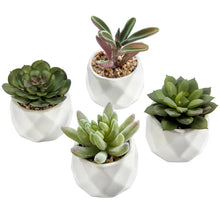 Load image into Gallery viewer, 4 - Piece Artificial Succulent Plant in Pot Set

