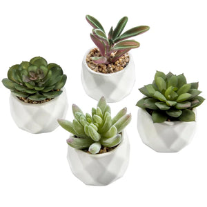 4 - Piece Artificial Succulent Plant in Pot Set