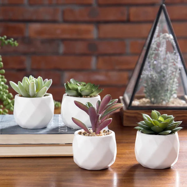 4 - Piece Artificial Succulent Plant in Pot Set