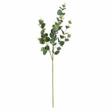 Load image into Gallery viewer, 4 Piece Eucalyptus Branch (Set of 4)
