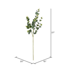 Load image into Gallery viewer, 4 Piece Eucalyptus Branch (Set of 4)
