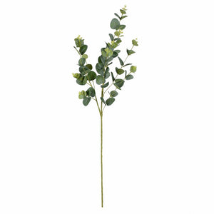 4 Piece Eucalyptus Branch (Set of 4)