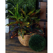 Load image into Gallery viewer, 4 Piece Metal Wicker Basket Set 914CDR
