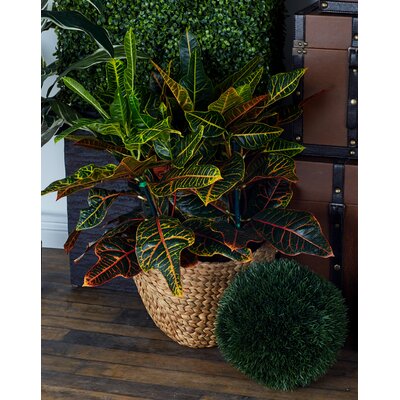 4 Piece Metal Wicker Basket Set 914CDR