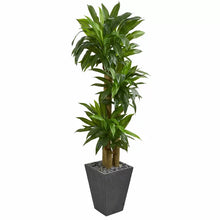Load image into Gallery viewer, 50.25&quot; Artificial Dracaena Plant in Planter
