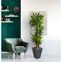 Load image into Gallery viewer, 50.25&quot; Artificial Dracaena Plant in Planter
