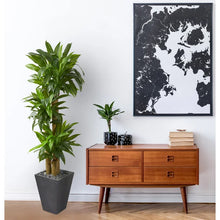 Load image into Gallery viewer, 50.25&quot; Artificial Dracaena Plant in Planter

