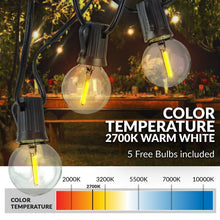 Load image into Gallery viewer, 50&#39; 50 - Bulb String Light 6284RR
