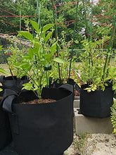 Load image into Gallery viewer, 12-Pack 7 Gallon Nonwoven Grow Bags, Aeration Fabric Pots with Durable Handles, Come with 12 Pcs Plant Labels
