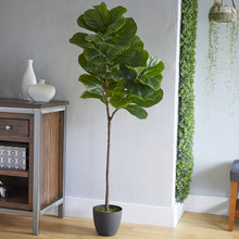 Load image into Gallery viewer, 52&quot; Artificial Fiddle leaf fig Tree in Planter (SB817)
