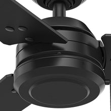 Load image into Gallery viewer, 52&quot; Cassius 3 Blade Outdoor Standard Ceiling Fan with Pull Chain
