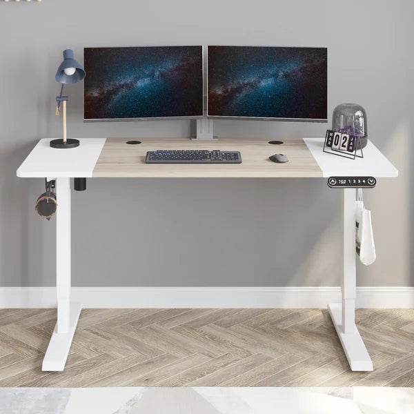 55“ Electric Height Adjustable Standing Desk