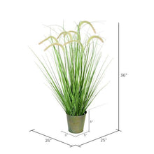 Load image into Gallery viewer, Vickerman Artificial Unlit Bush 36" - Green - Cattail Grass - Iron Pot
