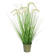 Load image into Gallery viewer, Vickerman Artificial Unlit Bush 36" - Green - Cattail Grass - Iron Pot
