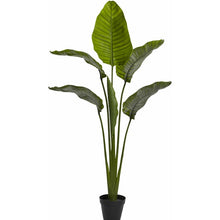 Load image into Gallery viewer, 60&quot; Artificial Palm Tree in Pot (SB863)
