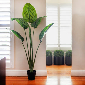 60" Artificial Palm Tree in Pot (SB863)