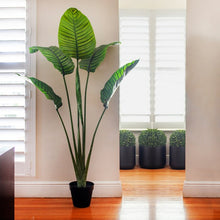 Load image into Gallery viewer, 60&quot; Artificial Palm Tree in Pot (SB1446)
