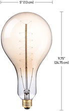 Load image into Gallery viewer, Globe Electric Oversized Vintage Style 100W Clear Glass Dimmable Incandescent Light Bulb, E26 Base, 400 Lumens, 80126 MRM1295
