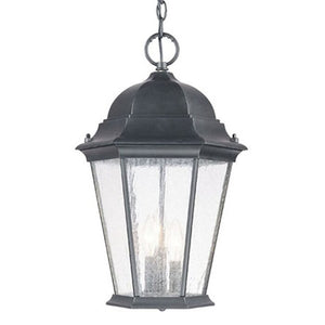 Howa 3 -Bulb 19.5" H Outdoor Hanging Lantern, Color: Black, #6468