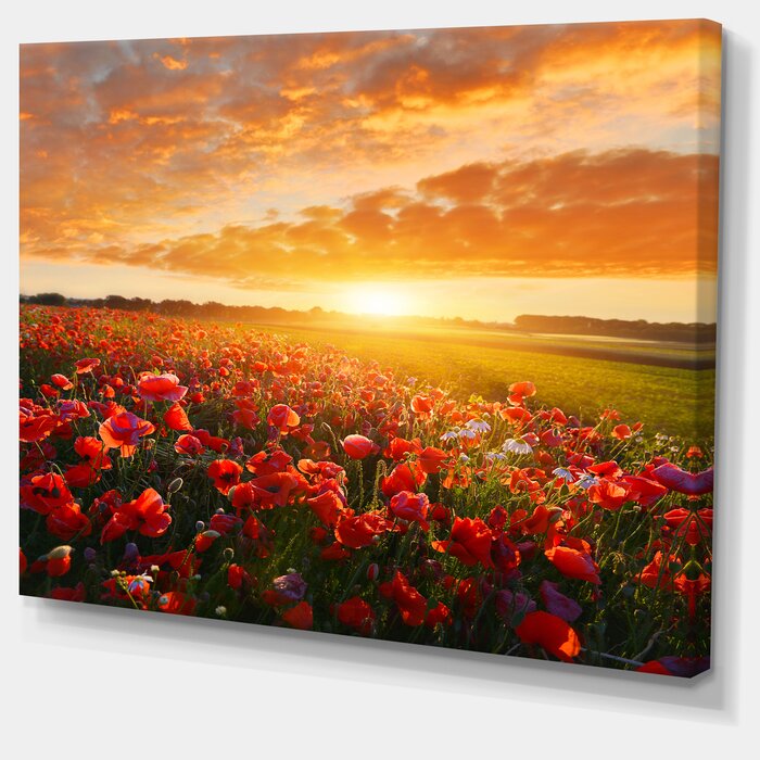 'Beautiful Poppy Field at Sunset' on Wrapped Canvas, #6844