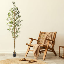 Load image into Gallery viewer, 77&quot; Artificial Olive Tree in Planter 5886RR
