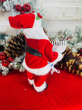 Load image into Gallery viewer, Santa's Workshop 12" Hanukkah Santa, RED
