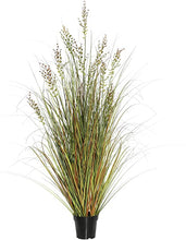Load image into Gallery viewer, 36&quot; Artificial Potted Green and Brown Grasses (Set of 2) 3318RR
