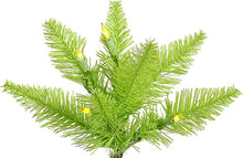 Load image into Gallery viewer, 3&#39; Lime Fir Artificial Christmas Tree, Lime Dura-lit Incandescent Lights - Faux Fir Christmas Tree - Seasonal Indoor Home Decor
