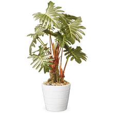 Load image into Gallery viewer, National Tree Artificial 21&quot; Garden Accents Philodendron Flower
