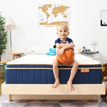 Load image into Gallery viewer, 8&quot; Medium Pillow Top Hybrid Mattress 3767RR
