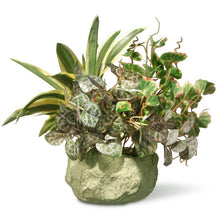 Load image into Gallery viewer, 9.1&#39;&#39; Faux Foliage Plant in Ceramic Planter
