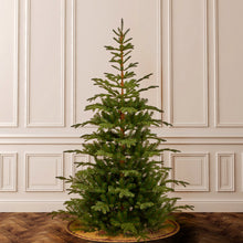 Load image into Gallery viewer, 7.5&quot; Artificial Spruce Christmas Tree
