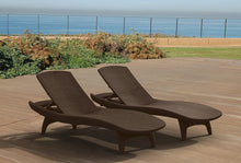 Load image into Gallery viewer, Clarita Sun Reclining Chaise Lounge (Set of 2) 2064
