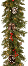Load image into Gallery viewer, National Tree Company Pre-Lit Artificial Christmas Garland, Green, Frosted Berry, White Lights, Decorated with Pine Cones, Berry Clusters, Plug In, Christmas Collection, 9 Feet
