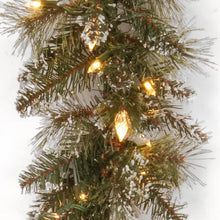 Load image into Gallery viewer, 9&#39; Glittery Bristle Pre-Lit Garland
