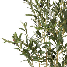 Load image into Gallery viewer, Aarav Artificial Olive Tree in Pot, 7730RR
