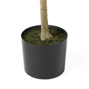 Aarav Artificial Olive Tree in Pot, 7730RR