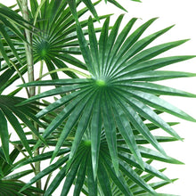 Load image into Gallery viewer, 43&quot; H x 21&quot; W x 21&quot; D Adcock Artificial Palm Tree in Pot (SET OF 2)
