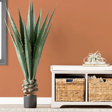 Load image into Gallery viewer, Agave Plant in Planter MRM3276
