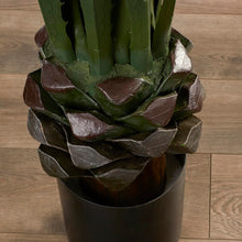 Load image into Gallery viewer, Agave Plant in Planter MRM3276
