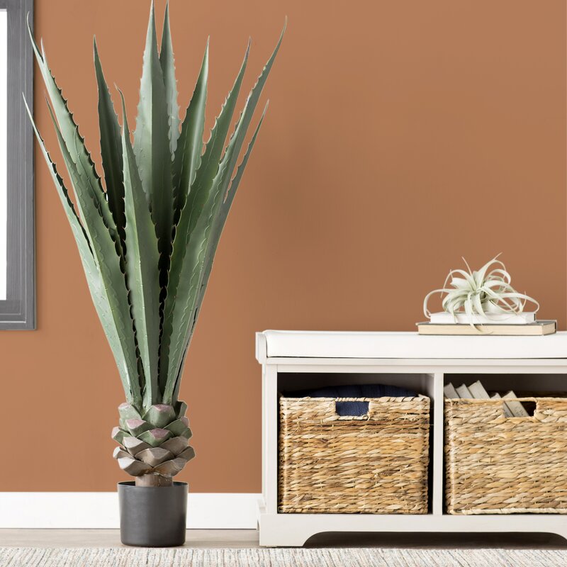 Agave Plant in Planter MRM3276